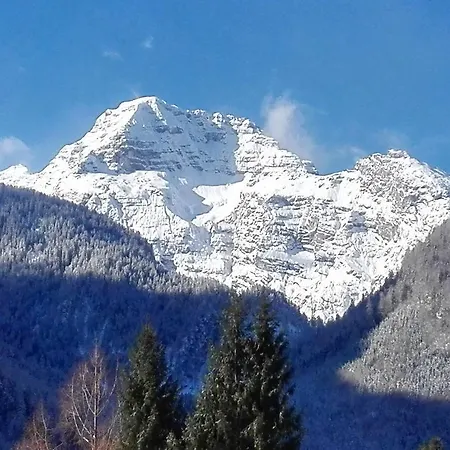 Wildental 2* Sankt Martin bei Lofer