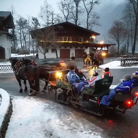 Wildental Sankt Martin bei Lofer