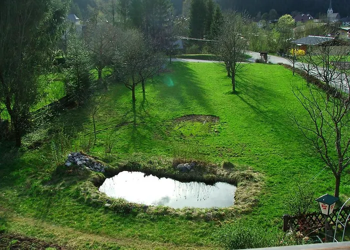 Wildental 2* Sankt Martin bei Lofer